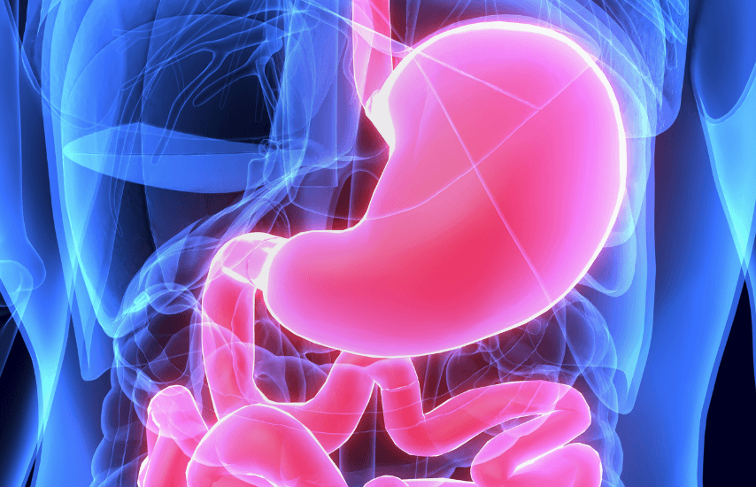 Inflammation in the gut