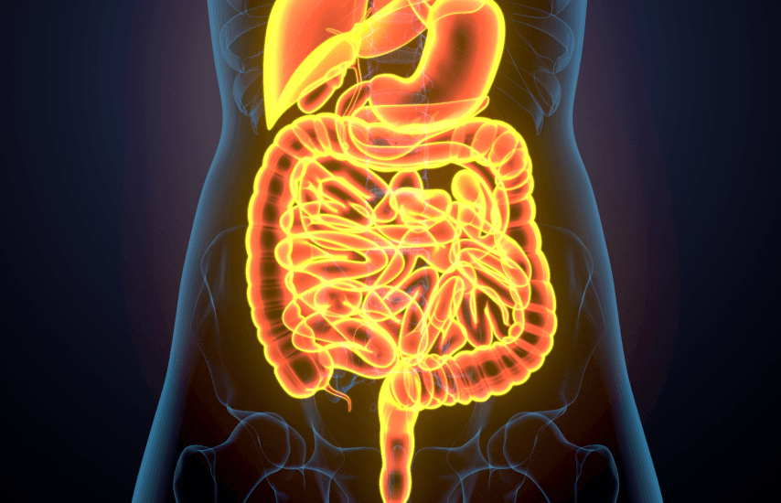 GLP-1 directly impacts metabolism, blood sugar, fat burning, digestion, and even your mood.