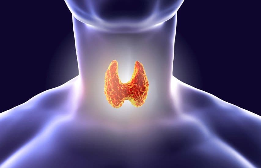 When your thyroid is under attack from your own immune system, it slows down your metabolism.