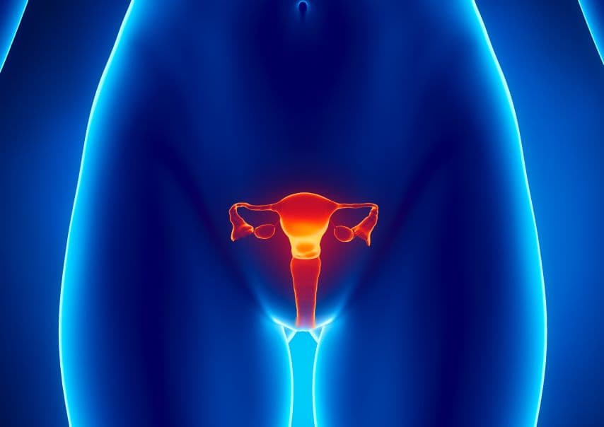 Insulin resistance has a tendency of worsening and improving throughout the menstrual cycle.