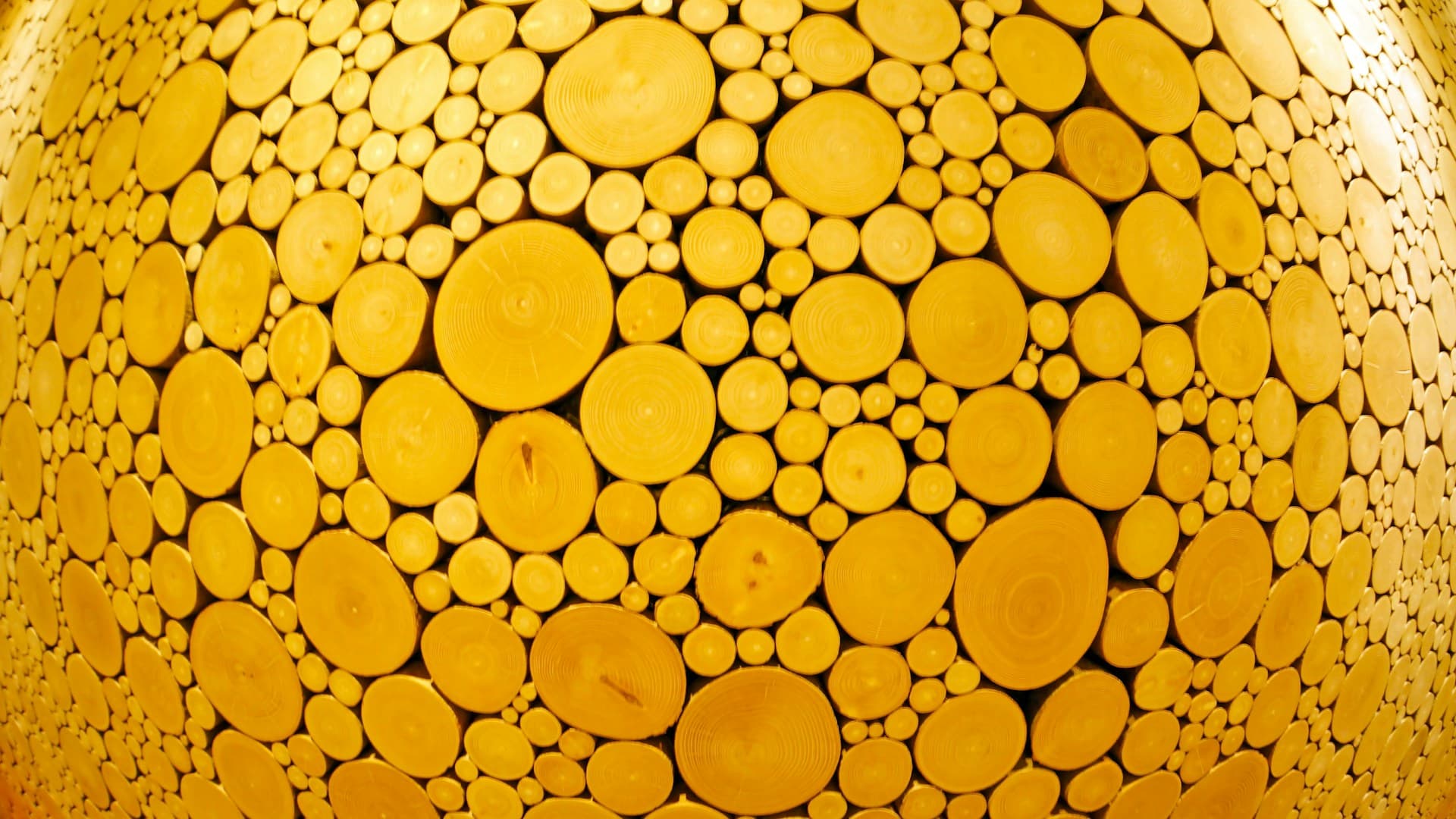 morceau de rayon de miel