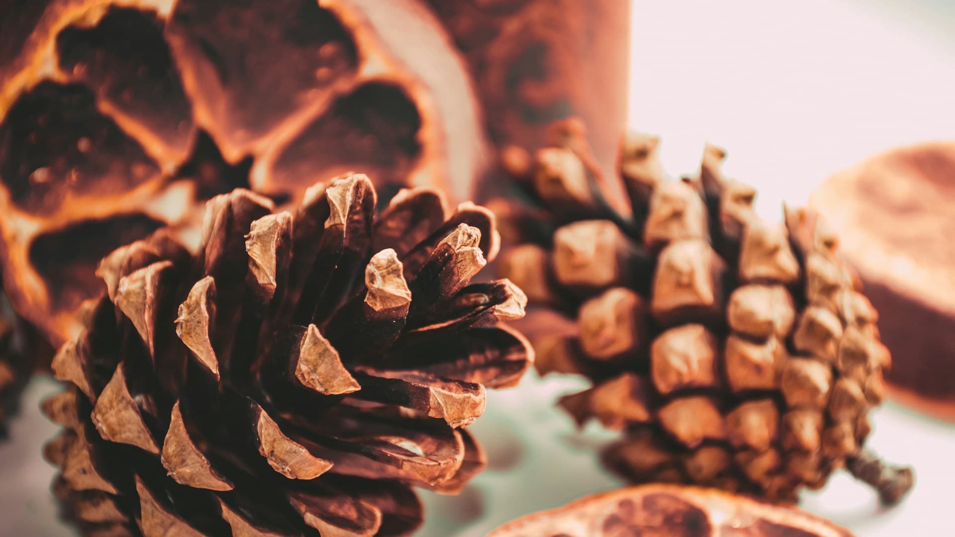 préparation diététique