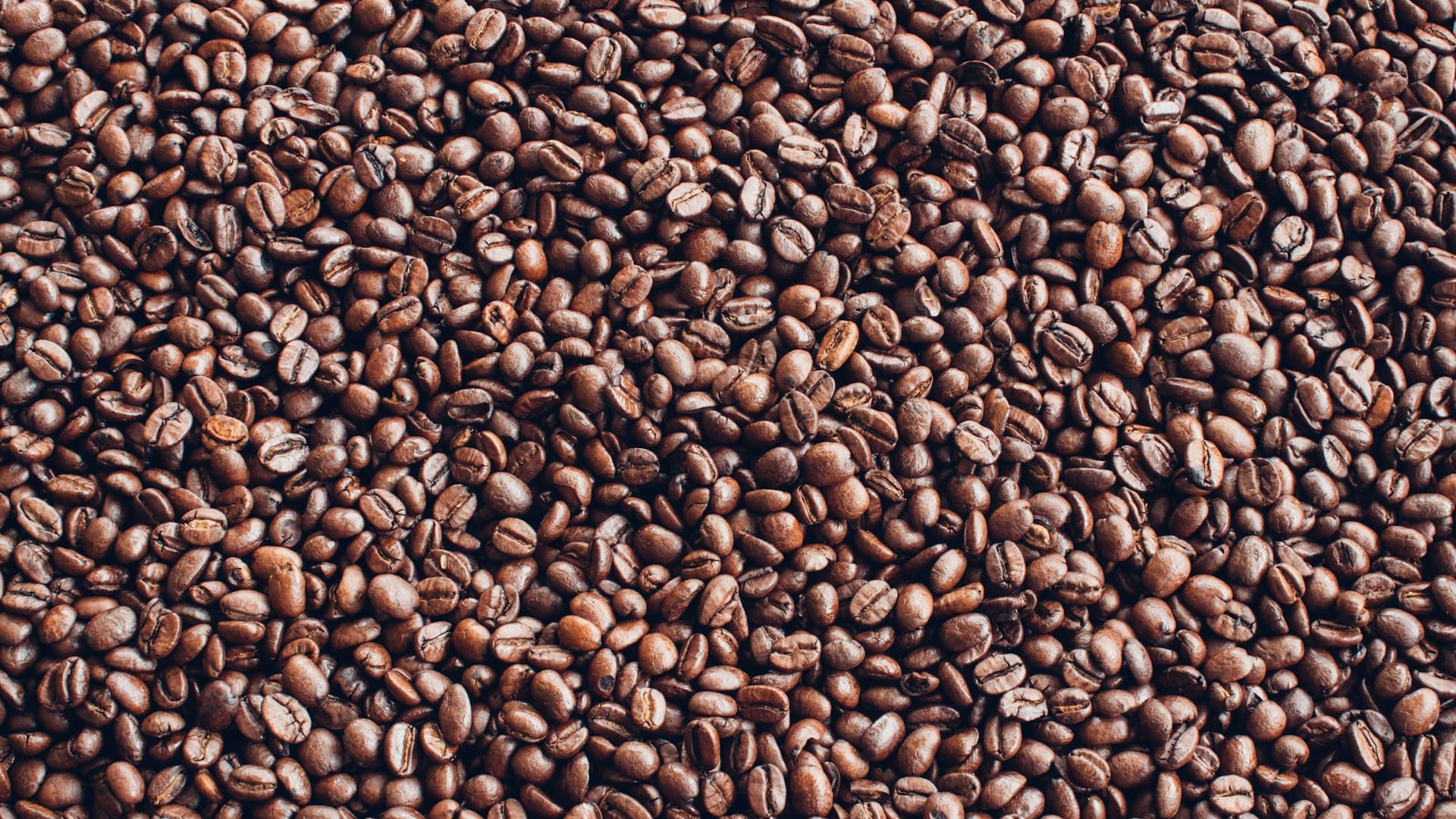 preparação da dieta