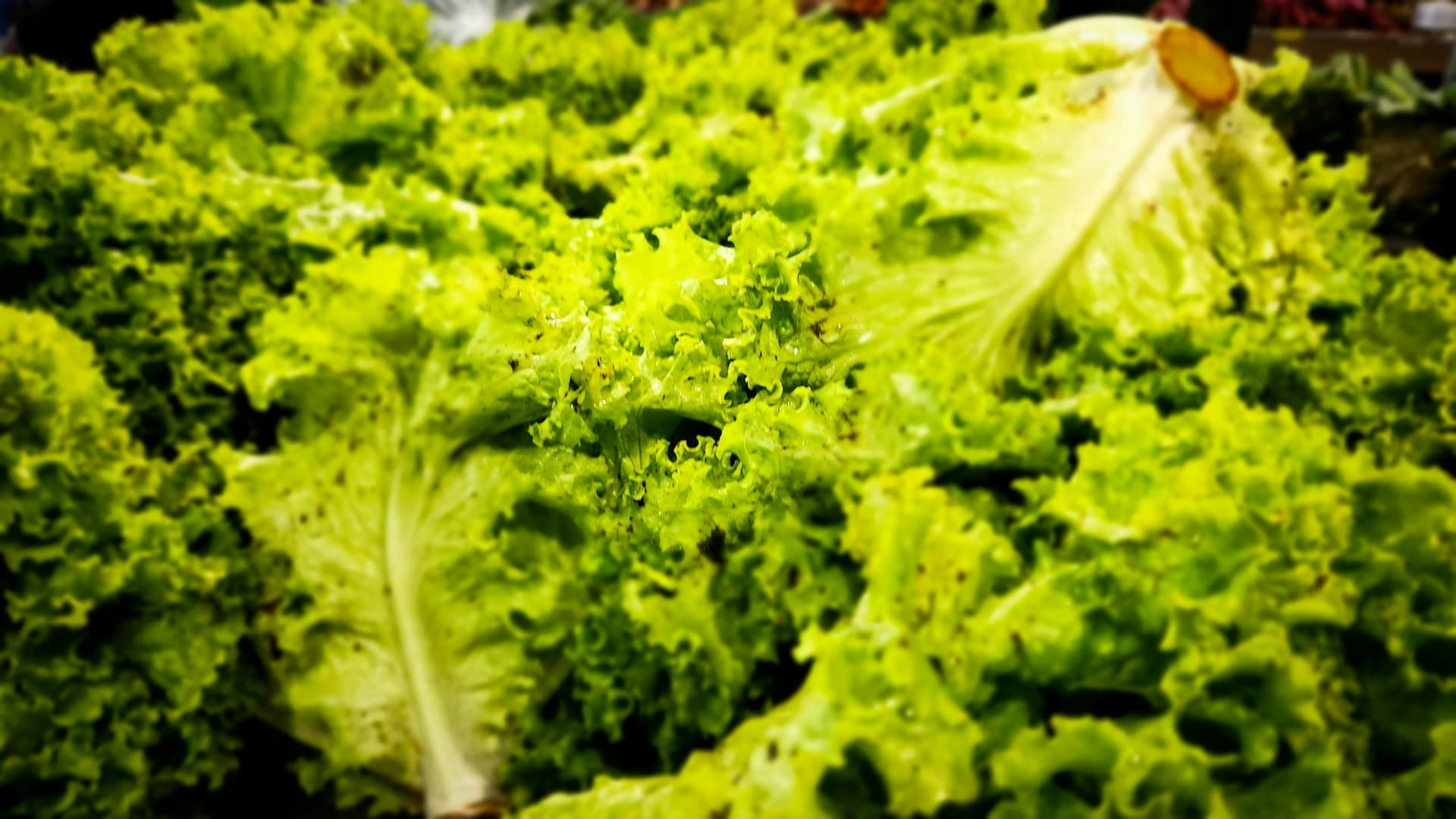 préparation diététique