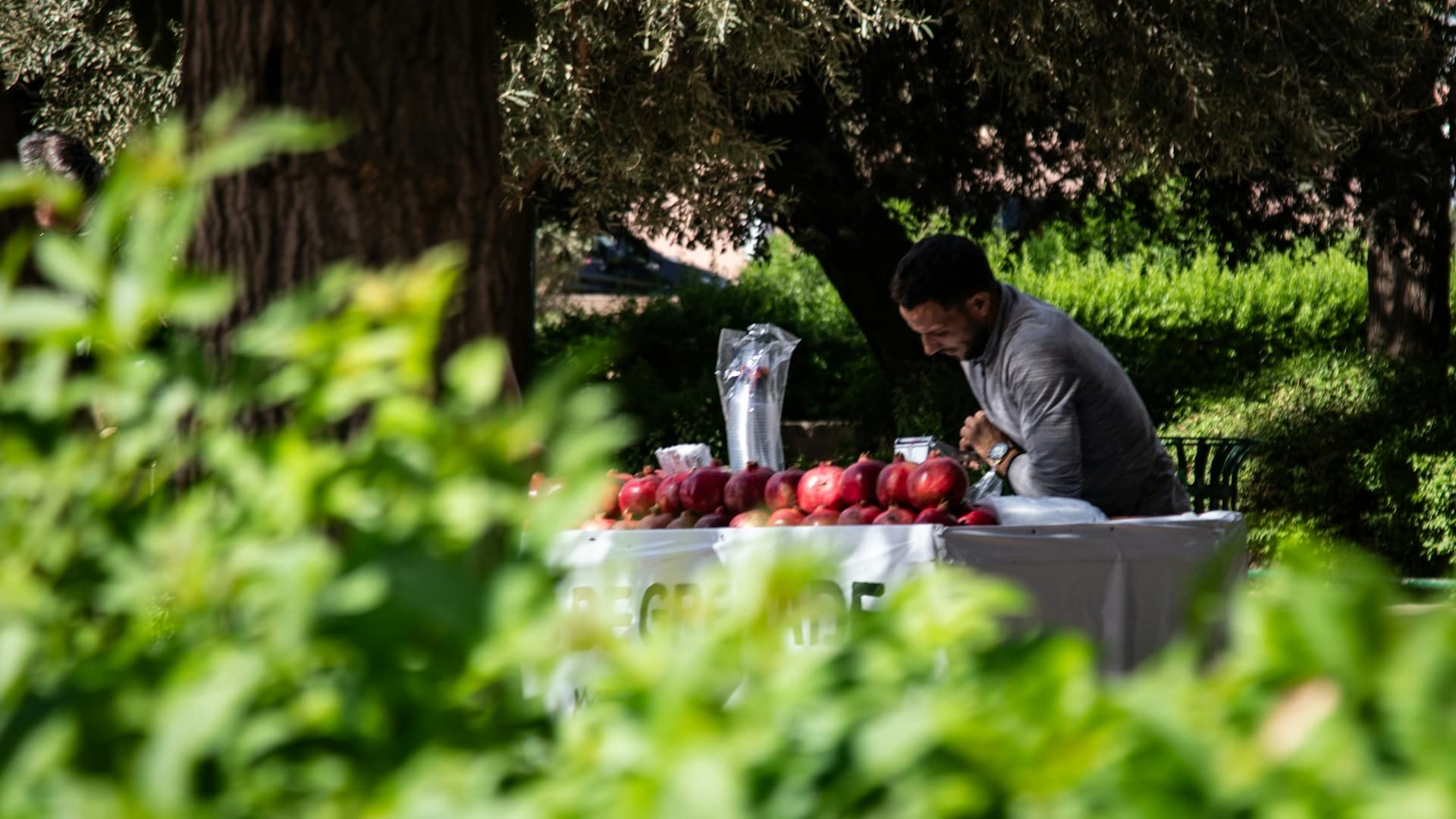 assiette diététique