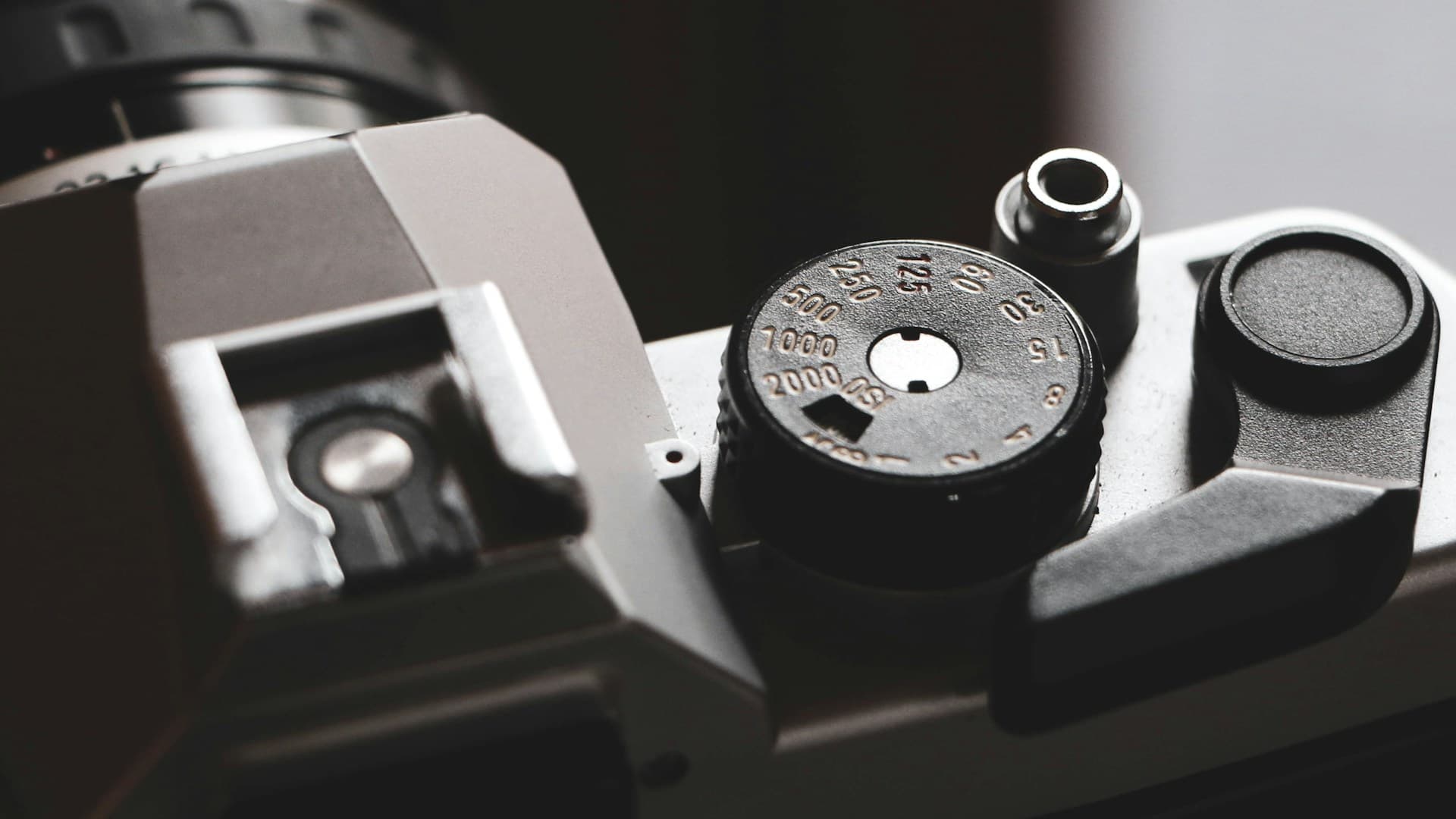 préparation radicale