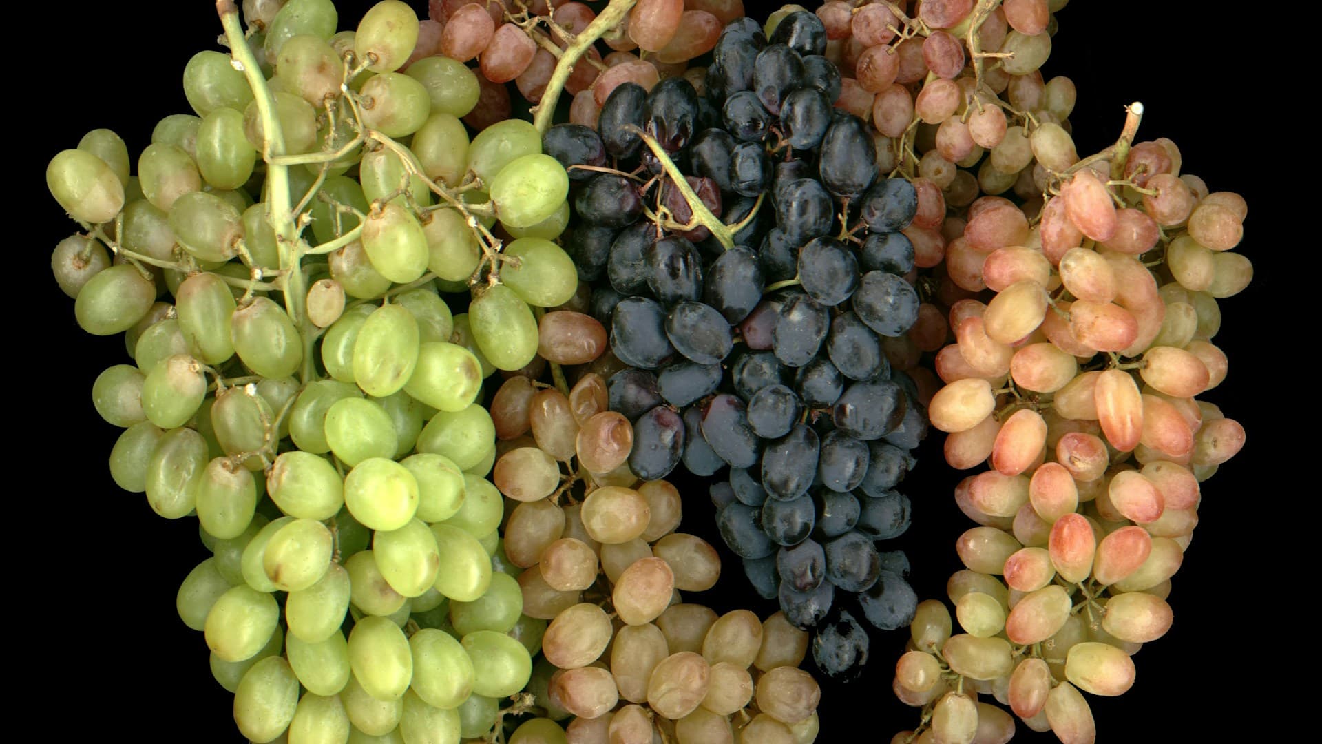 grapes